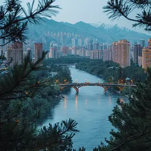 连州注册公司排名前十